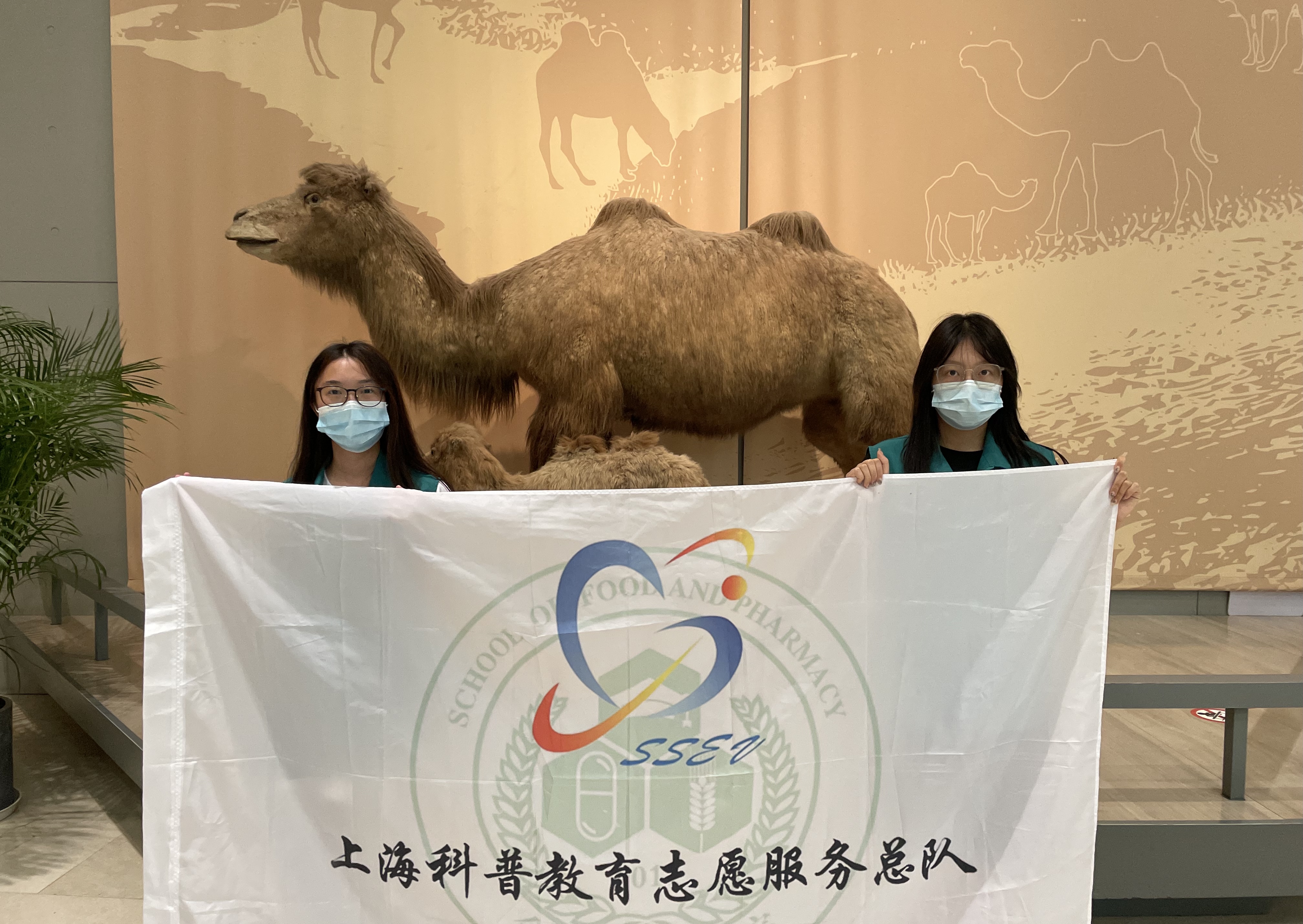 【志愿服务】沧海桑田，由海成陆——上海自然博物馆的上海旅程